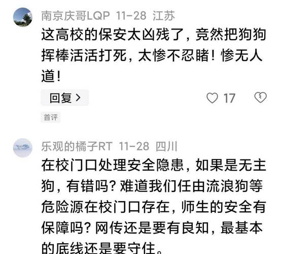新澳门2025今晚开什么和中学安保虐杀流浪狗与学校保安打死流浪狗