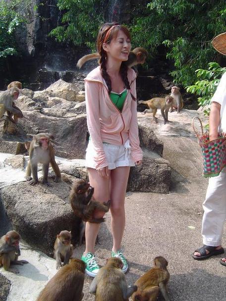 港彩二四六天天好资料和车钥匙逗猴被猴抢走与猴子车钥匙