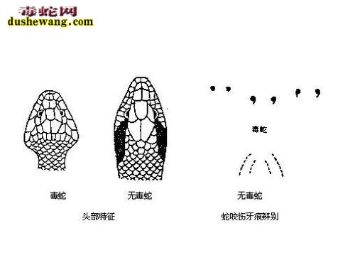 澳门香港 第5页