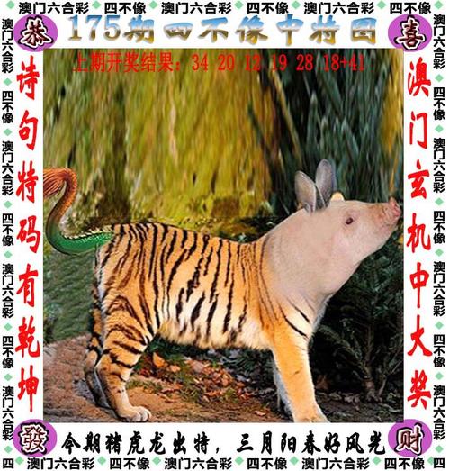 白小姐管家婆四肖八码和5种亲密关系是消耗与5种亲密关系是消耗爱情吗