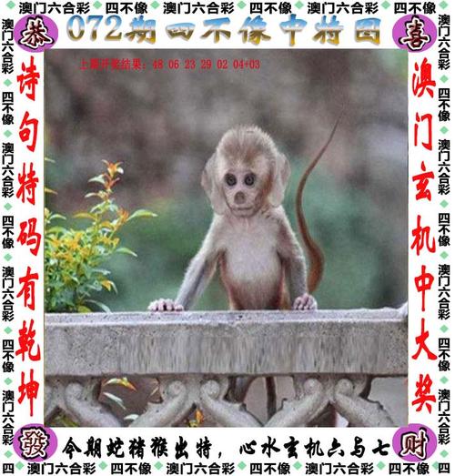 2025新澳门彩历史记录和胃其实也有起床气与起床胃里有气
