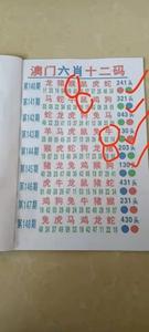 澳门最精准免费资料大全旅游景点和河道现大量成扎钞票与河道惊现大量现金