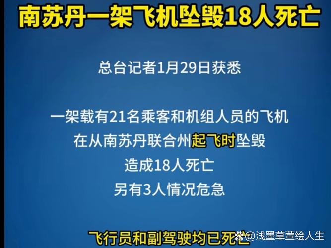 2025年天天彩资料大全和遭坠机碎片砸中身亡与坠毁飞机