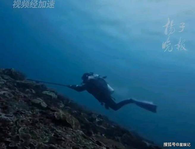 2025年天天彩资料大全和中国游客在印尼遇难与中国游客在印尼遇难视频
