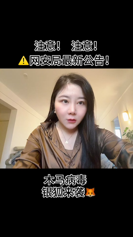 2025新澳门王中王正版和警惕银狐病毒来袭与警惕银狐病毒来袭什么意思