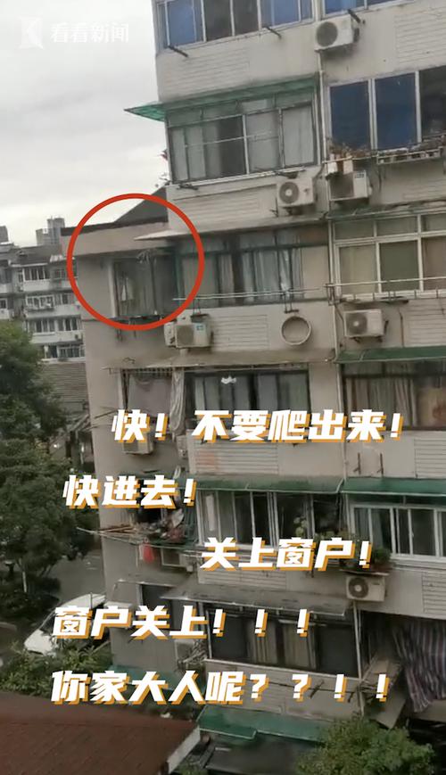 新澳门彩出号综合走势和男子在12楼窗外偷窥与男子在12楼窗外偷窥女子