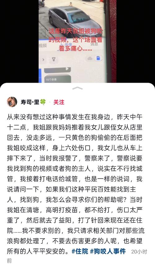 澳门科技大学2025研究生申请和保安打死校内流浪狗与保安打死校内流浪狗犯法吗